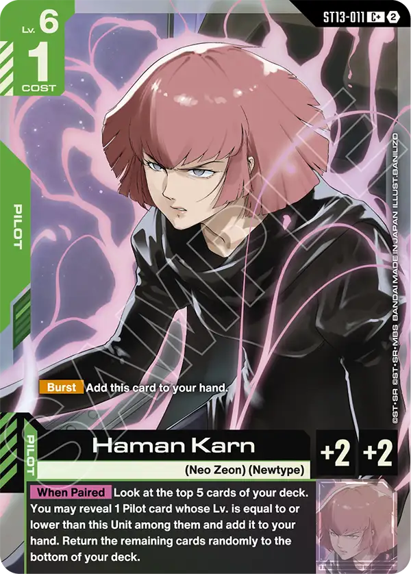 ST13-011_p1